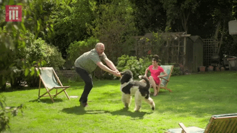 season 5 episode 6 GIF by BBC Three