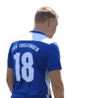 Look Celebrate Sticker by tsvtrillfingen