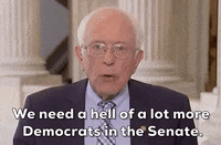 Bernie Sanders GIF by GIPHY News