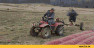 redneck GIF