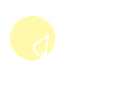 arynlei illustration nature flower pretty Sticker