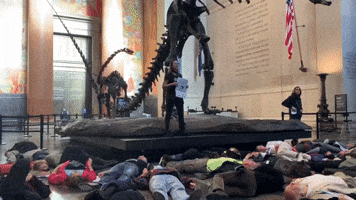 Extinction Rebellion Protesters Stage 'Die-In' Around T-Rex at Museum of Natural History