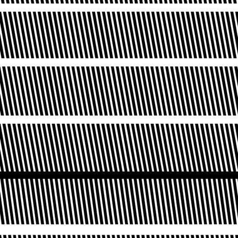 animation design GIF by Thomas L Ricci
