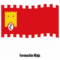 Flag Spain GIF by Formación Ninja