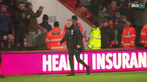 Football Celebrate GIF by AFC Bournemouth