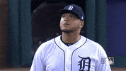 Major League Baseball Reaction GIF by Detroit Tigers