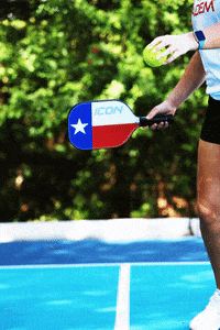 Texas Pickleball GIF by Diadem Sports