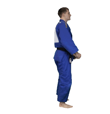 Boom Backflip Sticker by Judo Austria