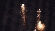 GIF by Carolina Mudcats Baseball
