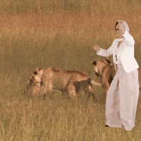 ana maria braga promo GIF by Grupo Camil