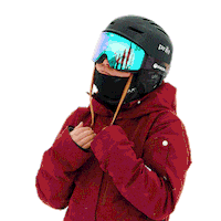 ski waiting Sticker by Aspen Snowmass