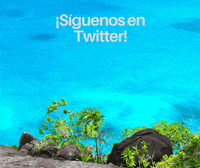 cancun marina GIF by Dolphin Discovery