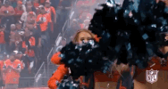 2018 Nfl Football GIF by NFL