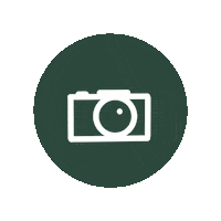 campingsauvergne green photo picture pic Sticker
