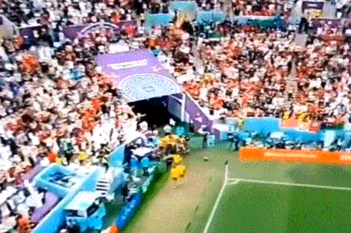 lws922 giphyupload GIF