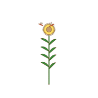 5unday summer sticker flower fall Sticker