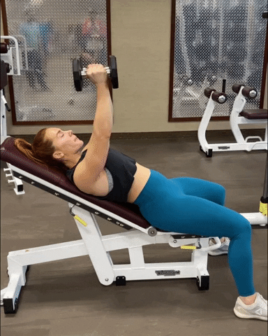 megsquats giphyupload GIF