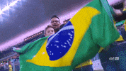 Selecao Brasileira Soccer Fans GIF by Confederação Brasileira de Futebol