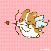 Valentines Day Valentine GIF by Lazy Corgi