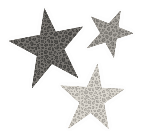 Leopard Print Star Sticker
