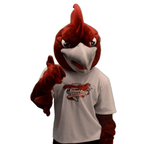 Mascot Roadrunner Sticker by Ramapo College of New Jersey