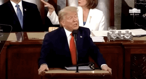 Donald Trump GIF by GIPHY News