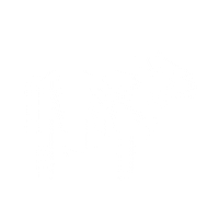 Milk Cow Sticker by Visit Sunshine Coast