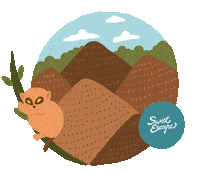 Dance Wow Sticker by SweetEscape