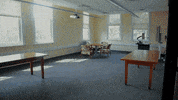GIF by University of Florida College of Education