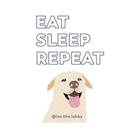 dog lab Sticker by Puppr