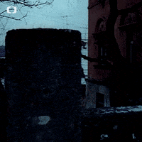 Film Pelisky GIF by Česká televize