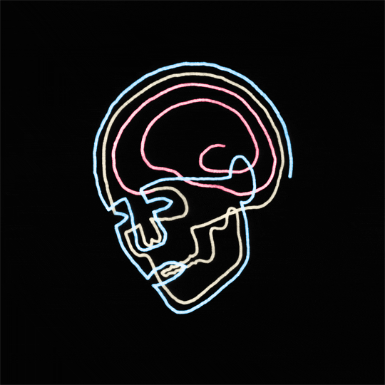 X-Ray Head GIF by Trevor Anderson