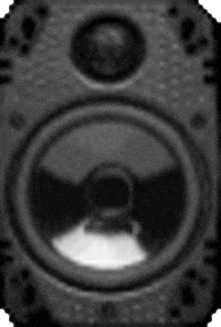 GIF by camisanidjs