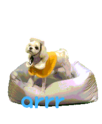 아르르 Sticker by arrr_official