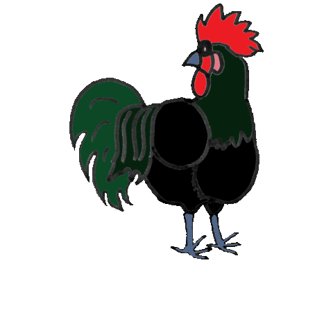 Rooster Hahn Sticker