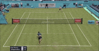 Shapo stab volley vs. del Potro