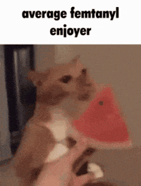 Cute GIF