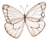 Butterfly Self Care Sticker by Your Inner Babe