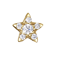 Star Sticker by Laura Bond