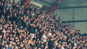Jamtarts Heartsfc GIF by Heart of Midlothian