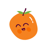 Orange Fruit Sticker
