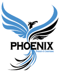 Phoenix Sticker by Healthy Steps Nutrition