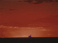 vintage vhs GIF by rotomangler