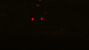 Rely Night Time GIF