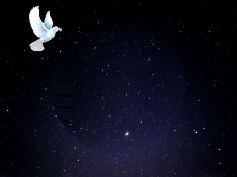You Win Germany GIF by lexolino.de