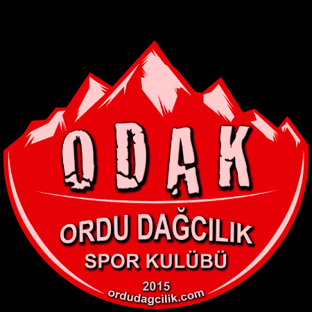 Odak GIF by ordudagcilik