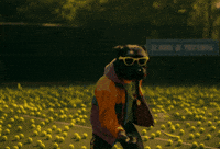 Dog Lol GIF by Terry Toto