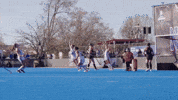 Field Hockey Wildcats GIF by Northwestern Athletics