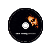 Piasek Sticker by Kulturalne Media