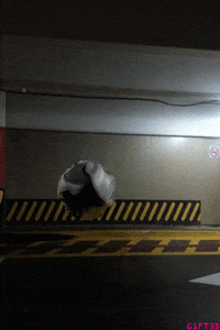 GIF by G1ft3d
